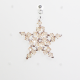Star - Earrings Ara - 1